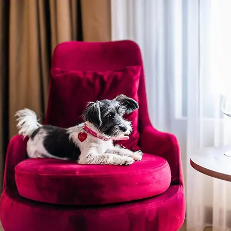 Hotel Amsterdam Bělehrad